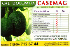 Folleto de Aguacate
