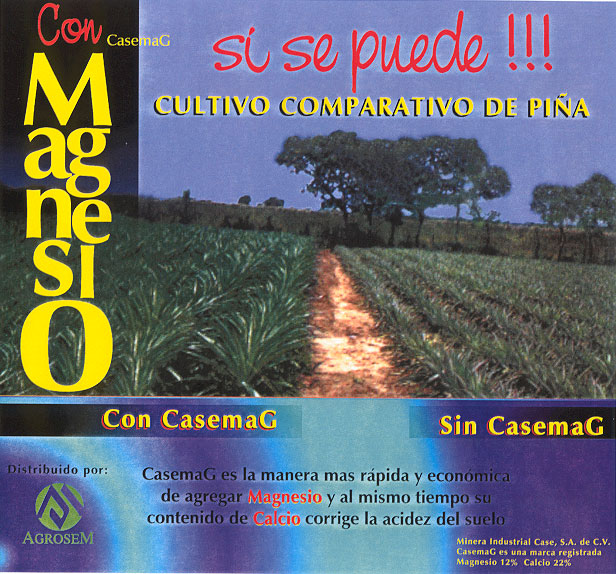 Folleto de Cultivo Comparativo de Piña 