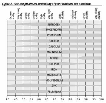 Figura 2: Forma en que el pH afecta los nutrientes